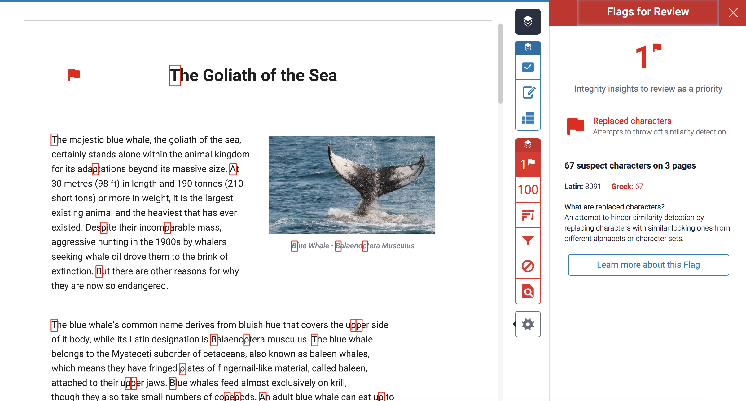 Flags In The Similarity Report Turnitin Guides