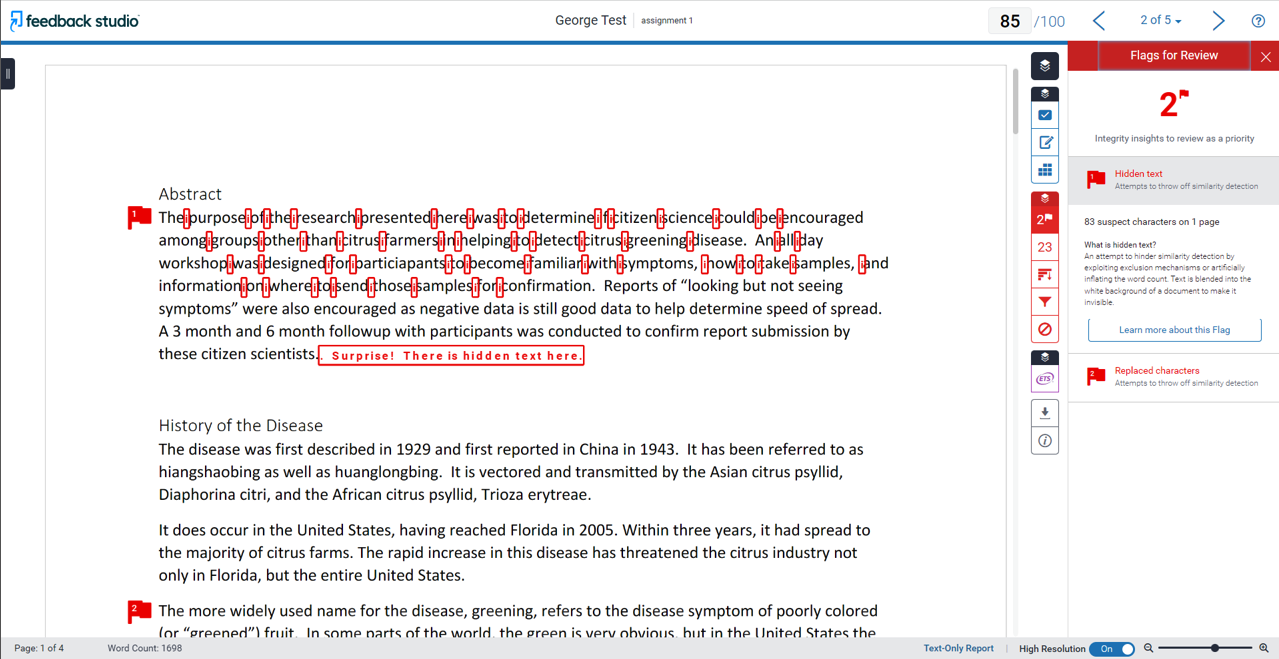 Flags In The Similarity Report Turnitin Guides