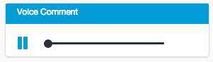 TFS_Student_Feedback_PauseVoiceComment.png