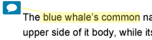 TFS_Student_Feedback_HighlightedBubbleComment.png