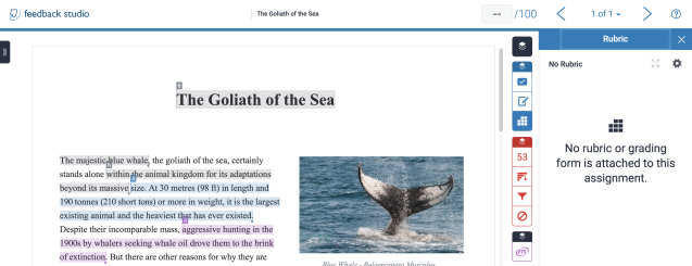 TFS_Instructor_RubricNew_RubricSetting_637x245.png