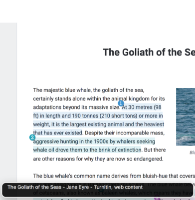 ScreenReaderWebContent_391x400.png