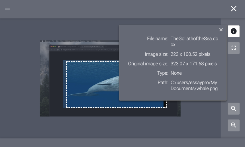 AI_Investigator_ImageViewerDetails.png