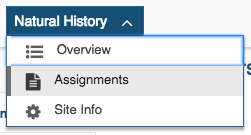 Sakai_AssignmentsOption.png
