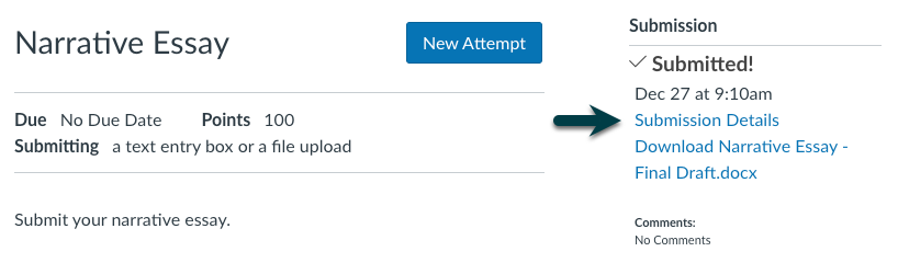 Canvas_CPF_StudentSubmission.png