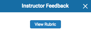 TFS_Student_Feedback_ViewRubric.png