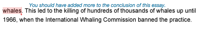 TFS_Student_Feedback_InlineComments.png