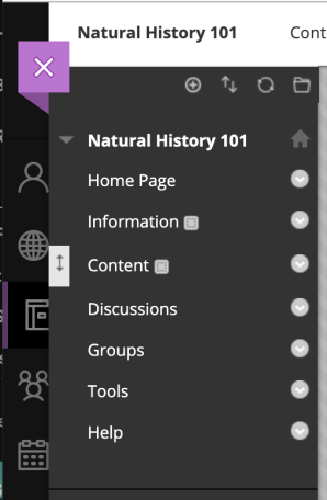 Blackboard_Original_Navigation.png