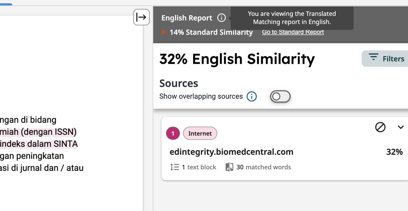 Translated Matching_English Report.png