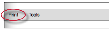TFS_Instructor_Peermark_PrintLink.png