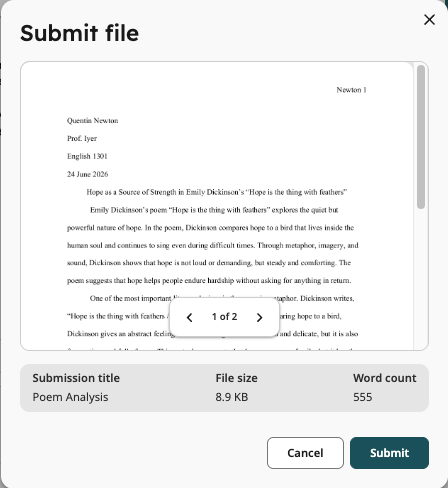 Document preview before selecting Submit