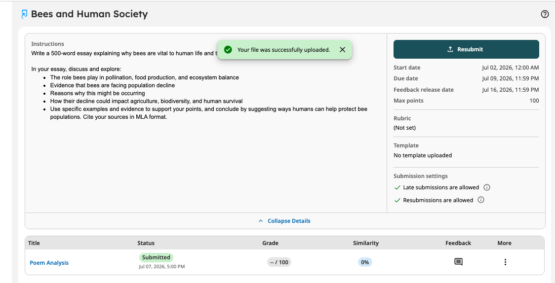 Submitted status with submission date and time